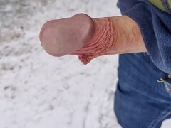 Retrogressive Racoon gets irregular with outdoor